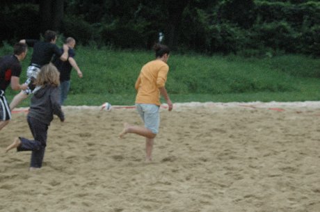 sf_2010_051.jpg (28435 Byte)
