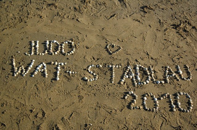 TL-Lignano-2010_063.JPG (156387 Byte)