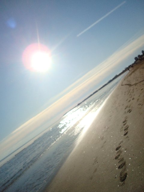 TL-Lignano-2010_070.JPG (53001 Byte)