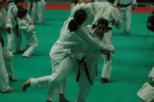TL-Lignano-2010_Elia_01.JPG (94807 Byte)
