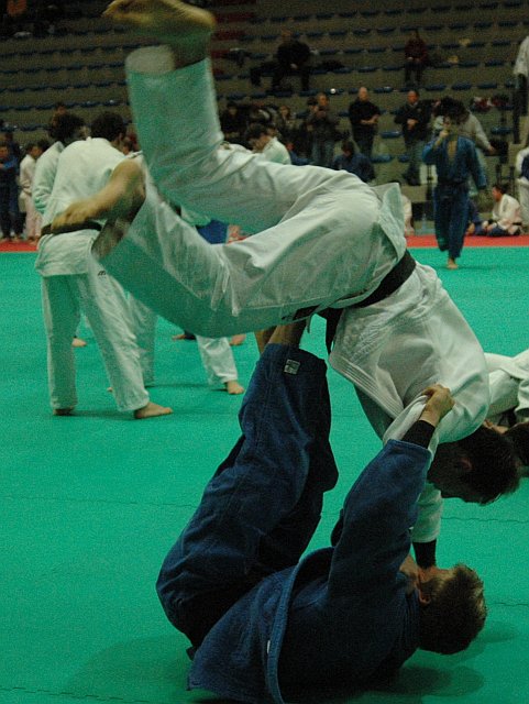 TL-Lignano-2010_MM_01.jpg (109086 Byte)