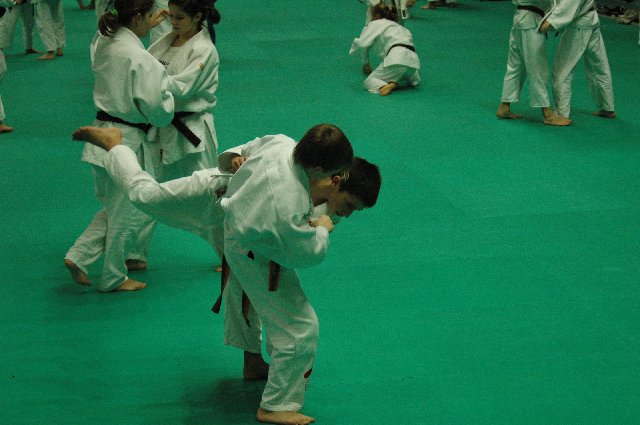 TL-Lignano-2010_Manuel_03.JPG (87332 Byte)