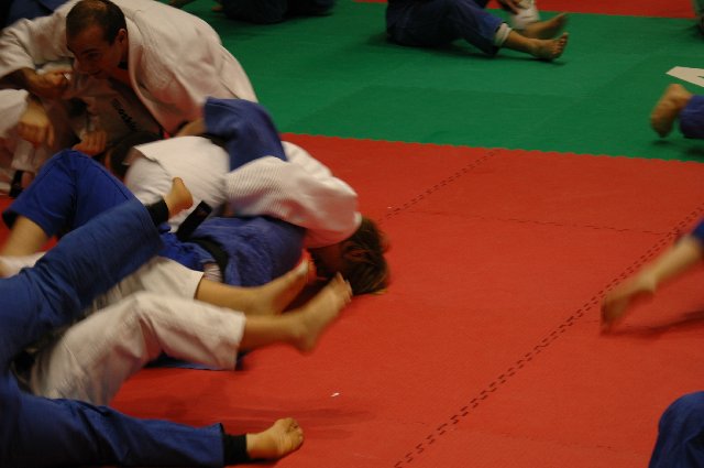 tl-ignano-2011_062.jpg (74955 Byte)