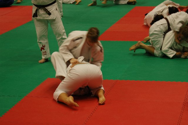 tl-ignano-2011_065.jpg (78187 Byte)