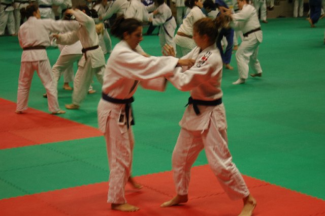 tl-ignano-2011_078.jpg (83872 Byte)