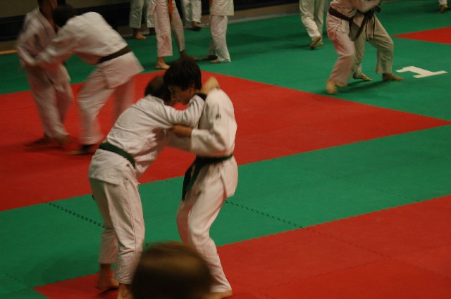tl-ignano-2011_080.jpg (75992 Byte)