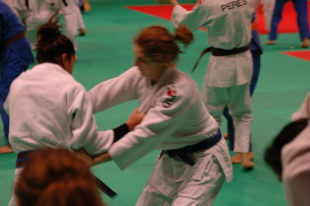 tl-ignano-2011_110.jpg (80879 Byte)